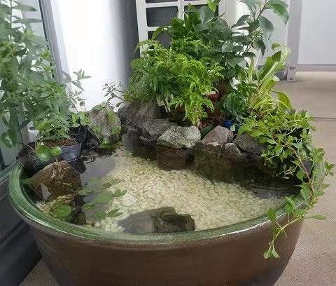 水生植物种植池#(水槽)#(水生植物)#(水生植物种植池)#(种植槽)#(种植池)