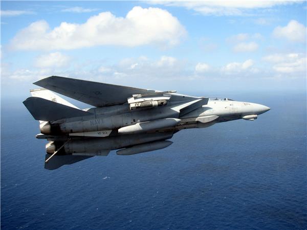 F14战斗机#(f14)#(军队)#(熊猫)#(战斗机)#(飞机)#(舰载机)#(军事)#(空军)