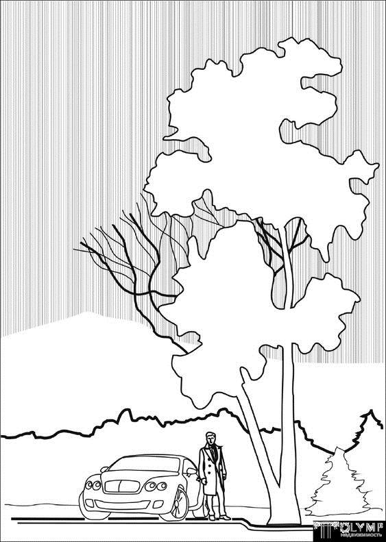 #(mg动画)#(彩色平面图)#(插画工业景观效果图)#(动画)#(画草)#(画景观树)#(建设设计)#(建筑配景)#(建筑配景树)#(景观)#(景观设计)#(景观树)#(景观园林图纸画树)#(手绘树)#(树的法)#(怎么画树)#(植物画法)#(彩平)#(彩平图手绘)#(二维动画)#(画树)#(建筑)#(建筑画)#(建筑画树)#(建筑画—树)#(建筑手绘)#(景画园林设计)#(配景树的画法)#(设计)#(手绘)#(树)#(树的画法)#(庭院手绘效果图)#(宣传动画)#(园林手绘平面图)#(怎么画景观平面图)#(植物组合手绘)