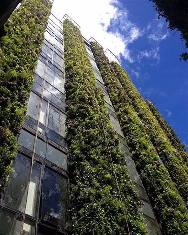 #(NakshabidArchitects)#(城市森林花园)#(垂直景观)#(垂直绿化)#(高层绿化)#(工厂建筑设计案例)#(工业建筑设计案例)#(建筑外墙景观设计)#(建筑外墙体)#(节能建筑)#(立面)#(立体绿化)#(楼景观)#(绿化立面)#(绿色建筑设计案例)#(墙体绿化)#(生态立面)#(办公建筑设计案例)#(垂直)#(垂直绿化 方案设计)#(垂直绿化方案设计)#(垂直绿化设计)#(垂直森林)#(第四代建筑花园阳台)#(建筑立面)#(景观墙)#(景墙)#(绿色建筑立面)#(绿植墙)#(软垂直绿化)#(森林花园)#(生态性建筑)#(室外墙)#(竖直绿化)#(植物景墙)