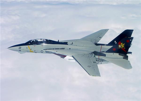 F14战斗机#(f14)#(军队)#(熊猫)#(战斗机)#(飞机)#(舰载机)#(军事)#(空军)