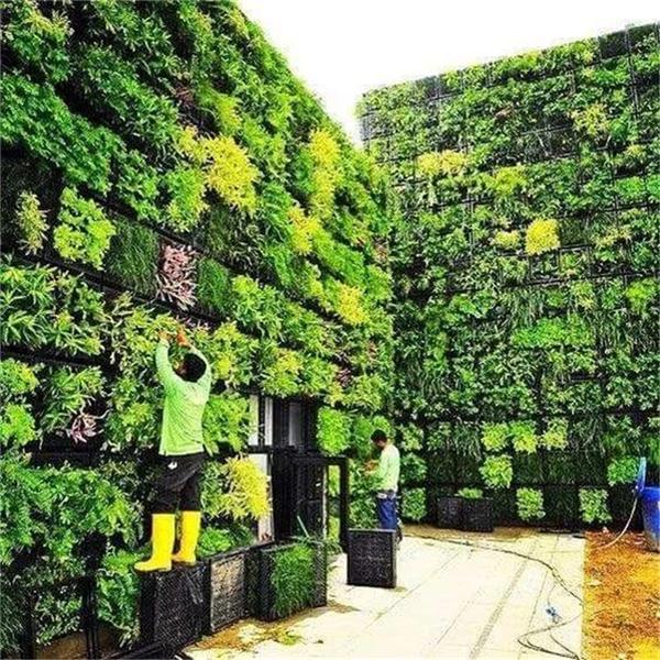 #(NakshabidArchitects)#(城市森林花园)#(垂直景观)#(垂直绿化)#(高层绿化)#(工厂建筑设计案例)#(工业建筑设计案例)#(建筑外墙景观设计)#(建筑外墙体)#(节能建筑)#(立面)#(立体绿化)#(楼景观)#(绿化立面)#(绿色建筑设计案例)#(墙体绿化)#(生态立面)#(办公建筑设计案例)#(垂直)#(垂直绿化 方案设计)#(垂直绿化方案设计)#(垂直绿化设计)#(垂直森林)#(第四代建筑花园阳台)#(建筑立面)#(景观墙)#(景墙)#(绿色建筑立面)#(绿植墙)#(软垂直绿化)#(森林花园)#(生态性建筑)#(室外墙)#(竖直绿化)#(植物景墙)