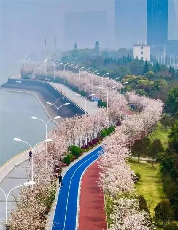 #(滨河步道)#(滨水步道)#(彩虹跑道)#(健身道)#(健身跑道)#(街边跑道)#(街跑道)#(跑步)#(跑道)#(社区跑道)#(塑胶跑道)#(彩色路面)#(环保体育)#(健身步道)#(街区跑道)#(景观设计)#(慢行步道)#(跑道设计)#(跑径)#(运动跑道)