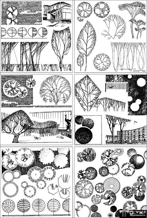 #(mg动画)#(彩色平面图)#(插画工业景观效果图)#(动画)#(画草)#(画景观树)#(建设设计)#(建筑配景)#(建筑配景树)#(景观)#(景观设计)#(景观树)#(景观园林图纸画树)#(手绘树)#(树的法)#(怎么画树)#(植物画法)#(彩平)#(彩平图手绘)#(二维动画)#(画树)#(建筑)#(建筑画)#(建筑画树)#(建筑画—树)#(建筑手绘)#(景画园林设计)#(配景树的画法)#(设计)#(手绘)#(树)#(树的画法)#(庭院手绘效果图)#(宣传动画)#(园林手绘平面图)#(怎么画景观平面图)#(植物组合手绘)