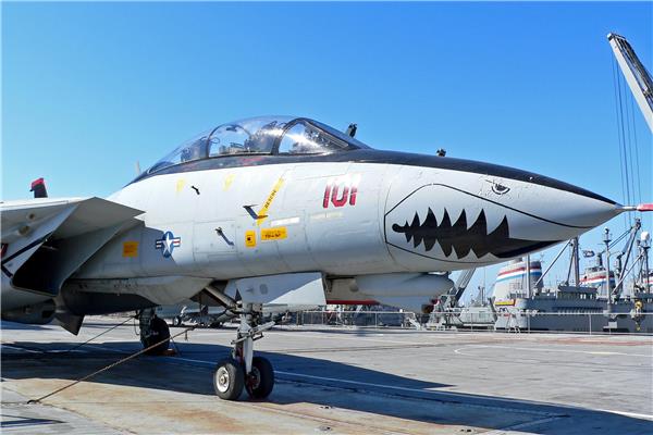 F14战斗机#(f14)#(军队)#(熊猫)#(战斗机)#(飞机)#(舰载机)#(军事)#(空军)