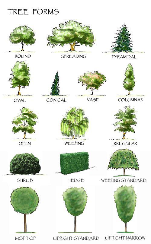 #(mg动画)#(彩色平面图)#(插画工业景观效果图)#(动画)#(画草)#(画景观树)#(建设设计)#(建筑配景)#(建筑配景树)#(景观)#(景观设计)#(景观树)#(景观园林图纸画树)#(手绘树)#(树的法)#(怎么画树)#(植物画法)#(彩平)#(彩平图手绘)#(二维动画)#(画树)#(建筑)#(建筑画)#(建筑画树)#(建筑画—树)#(建筑手绘)#(景画园林设计)#(配景树的画法)#(设计)#(手绘)#(树)#(树的画法)#(庭院手绘效果图)#(宣传动画)#(园林手绘平面图)#(怎么画景观平面图)#(植物组合手绘)