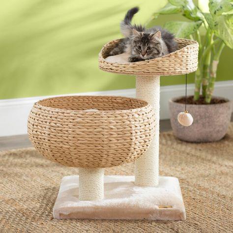 猫的树
