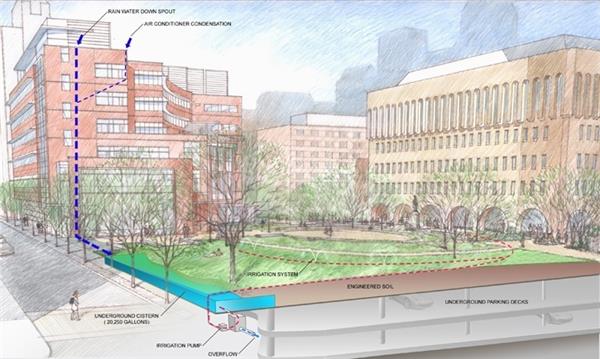 托马斯·杰斐逊大学卢伯特广场_3520898