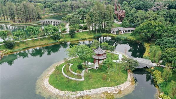 全龄化无边界中心滨湖公园,深圳蛇口_3524412