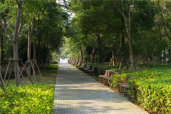 上海嘉定中央公园#(滨河)#(带状公园)#(带状景观)#(带状园林景观设计)#(改建公园)#(公园案例)#(公园规划设计案例)#(公园景观)#(公园景观规划)#(公园效果图)#(建筑)#(建筑风貌)#(景观公园案例)#(康养公园)#(口袋公园前期分析)#(设计)#(水景设计)#(小型公园设计案例)#(植物园)#(出彩公园景观案例)#(大地景观)#(德国景观设计)#(风景)#(公园)#(公园广场案例)#(公园景观设计案例)#(公园绿地)#(公园设计)#(公园设计案例)#(公园设计案例精选)#(公园设计理念)#(公园休息区)#(景观)#(景观公园出彩案例)#(康养景观)#(空间格局)#(千亩公园)#(山地公园)#(设计案例)#(摄影)#(文化传承)#(养生公园)