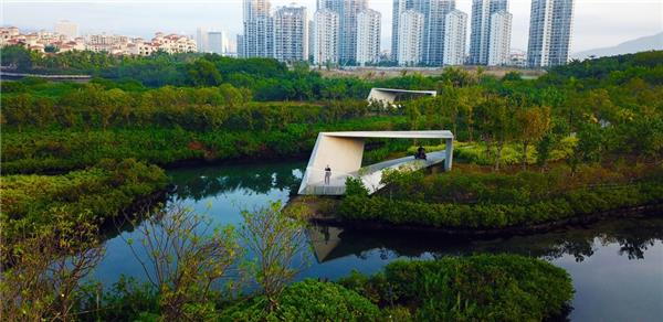 三亚红树林生态公园，海南_3524420