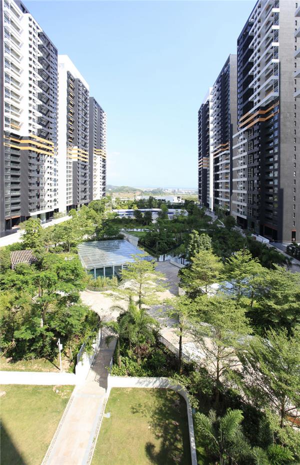 DADA的草地 – 艺术居住计划区,广东_3524475