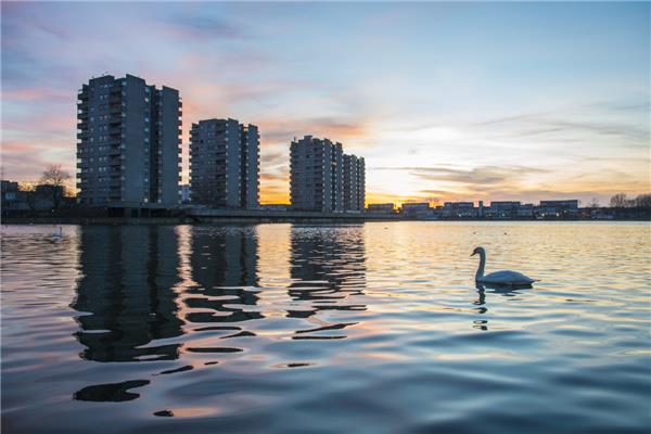 生活在风景中（LIAwards 2020年决赛入围者-可视化和数字实践卓越奖、景观规划与评估卓越奖）#(滨海公寓)#(滨海设计案例)#(滨水公寓)#(儿童活动场)#(公共景观)#(公园)#(广场)#(海边公寓)#(海边景观)#(海滨公寓)#(海滨景观)#(河流)#(湖泊)#(户外活动场)#(花园)#(环境改善)#(景观设计)#(景观设施)#(码头)#(校园景观)#(校园绿化)#(休闲廊道)#(沿海公寓)#(医院景观)#(游乐区)#(游乐园)#(LIAwards)#(滨水景观)#(参赛作品)#(城堡景观)#(儿童公园)#(古迹修复)#(河道)#(红土)#(湖边景观)#(环境保护)#(景观改造)#(景观规划)#(景观评估)#(居住景观)#(设计竞赛)#(湿地)#(树林)#(水边公寓)#(水系)#(校园广场)#(营房景观)#(游乐场)#(植物园)#(植物园景观)#(庄园)#(自然建筑)