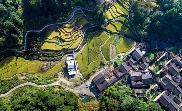 先锋厦地水田书店,福建屏南 / 迹·建筑事务所(TAO)_3534287