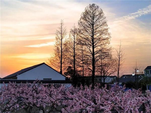 上海“乡村振兴示范村”– 吴房村 / 中国美术学院风景建筑设计研究总院_3534295