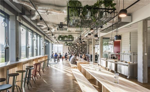 Akademeia中学，波兰 / Medusa Group Architects_3536065