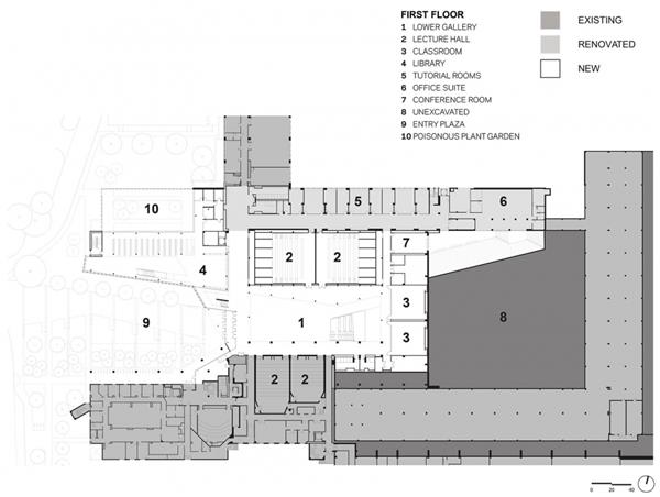 纽约  康奈尔大学兽医学院  / WEISS/MANFREDI_3536455