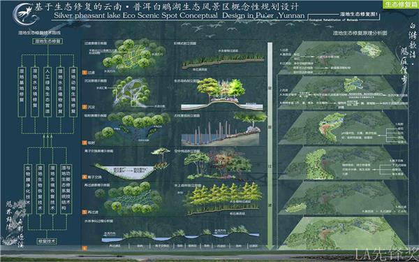 基于生态修复的云南普洱白鹇湖生态风景区_3542270
