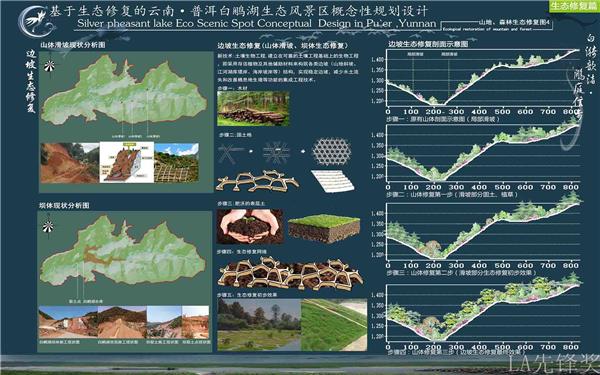 基于生态修复的云南普洱白鹇湖生态风景区_3542270