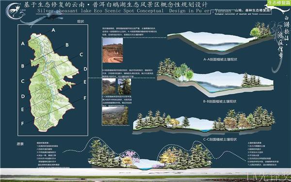 基于生态修复的云南普洱白鹇湖生态风景区_3542270