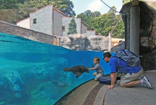国家动物园海豹海狮馆