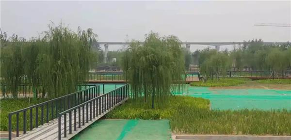 沣西新城新渭沙生态湿地公园_3591522