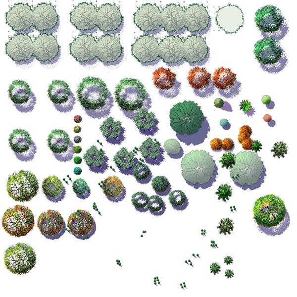 园林景观植物平面PSD素材12_3591917