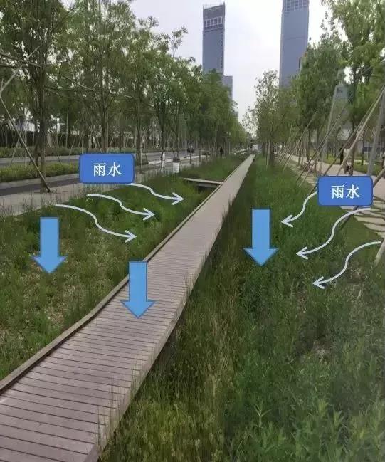 徐汇区云锦路跑道公园改造