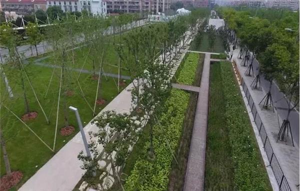 徐汇区云锦路跑道公园改造