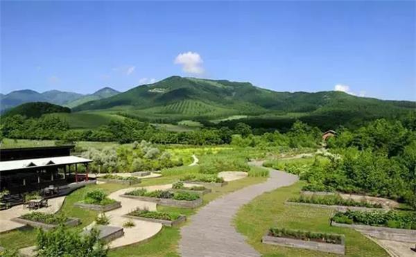 【20个日本农场案例】十胜千年之森-白色恋人公园-星野TOMAMU（5）_3600441