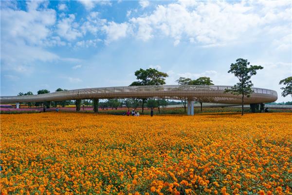宿迁三台山森林公园_3607254