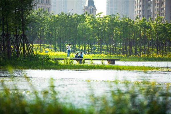 南昌鱼尾洲湿地公园_3607327
