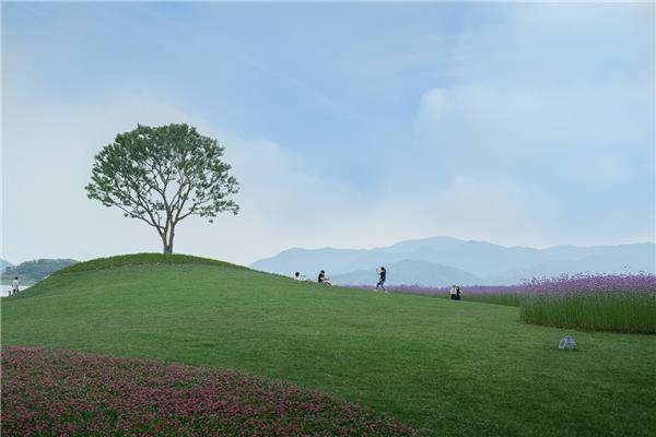 宁波华侨城·欢乐滨海_3608599