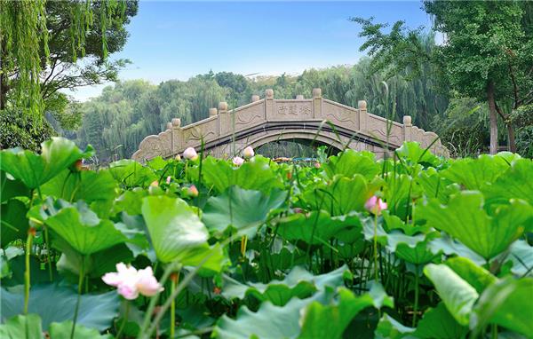 苏州吴江公园#(度假区景观)#(公园景观)#(居住小区景观)#(文旅景观)#(现代人文景观)#(乡村景观)#(乡村景观设计)#(住宅区景观)#(博览会)#(公园)#(景观设计)#(居住区景观)#(旅游区景观)#(美丽乡村)#(社区景观)#(文旅小镇)#(乡村振兴)