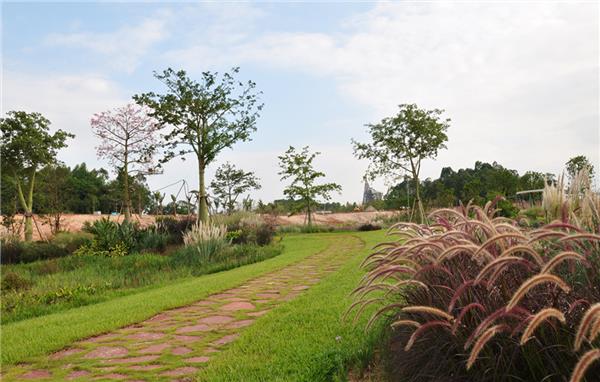 第十二届中国（南宁）国际园林博览会芦草叠塘展区_3618112