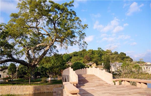 广东广州莲塘古村保护与改造设计#(度假区景观)#(公园景观)#(居住小区景观)#(文旅景观)#(现代人文景观)#(乡村景观)#(乡村景观设计)#(住宅区景观)#(博览会)#(公园)#(景观设计)#(居住区景观)#(旅游区景观)#(美丽乡村)#(社区景观)#(文旅小镇)#(乡村振兴)