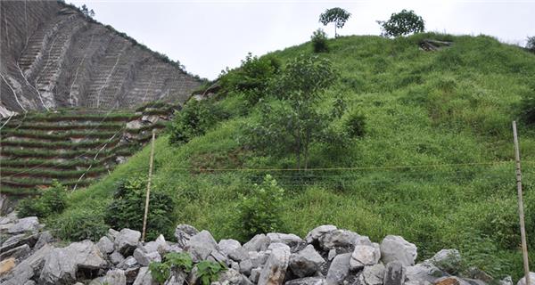 湖北·黄荆山北麓采石场工程_3618194