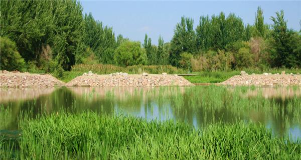 新疆伊宁·后滩湿地棚户区改造_3618208