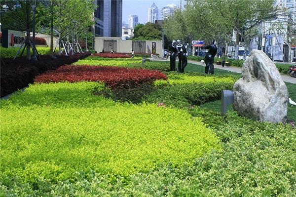 上海中山万博国际广场_3618318