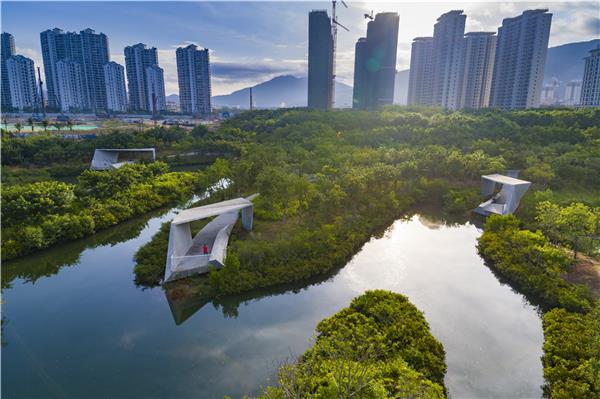 三亚红树林生态公园_3627275