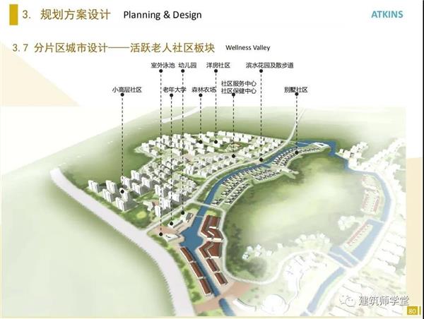 养老(养生)项目规划建筑方案设计文本_3656151