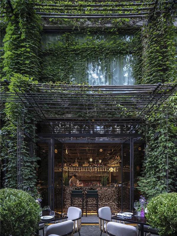 餐饮|上海艾本酒店花园.Le Coq酒吧餐厅_3657414