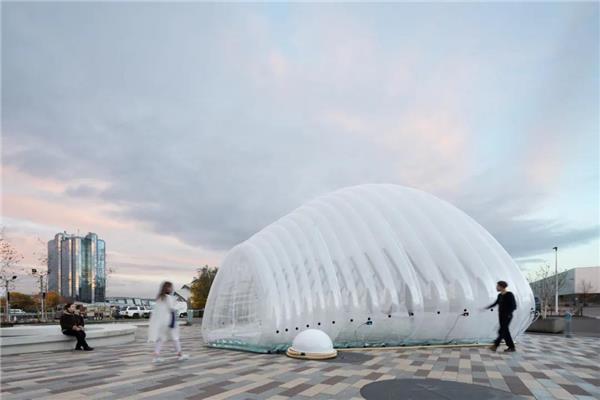 “气泡”空气净化生态器