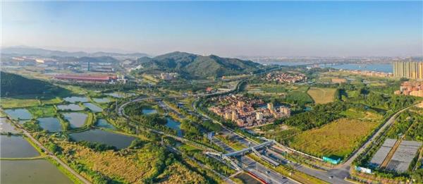 让自然流入城市,重塑和谐的空间关系 | 佛山·西江新城_3688339