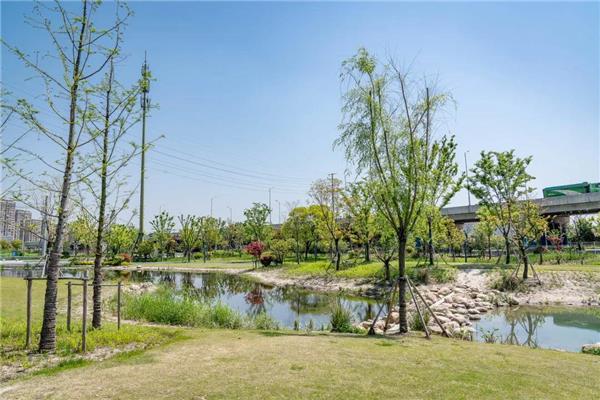 长三角生态一体化廊道构建：昆山市吴淞江生态廊道启动区一期修复工程设计_3688412