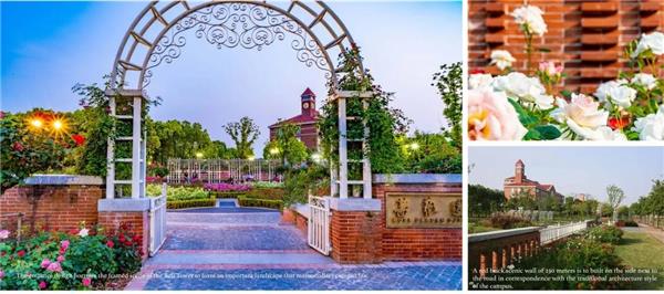 英国国家景观奖（BALI）——以花为媒“链接校园与社区”：上海交通大学蔷薇园设计_3688425