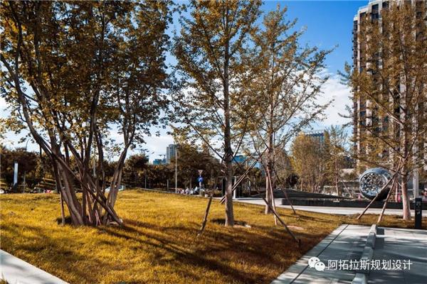 中海广场 | “小而美、小而精、小而优”的现代景观_3688542
