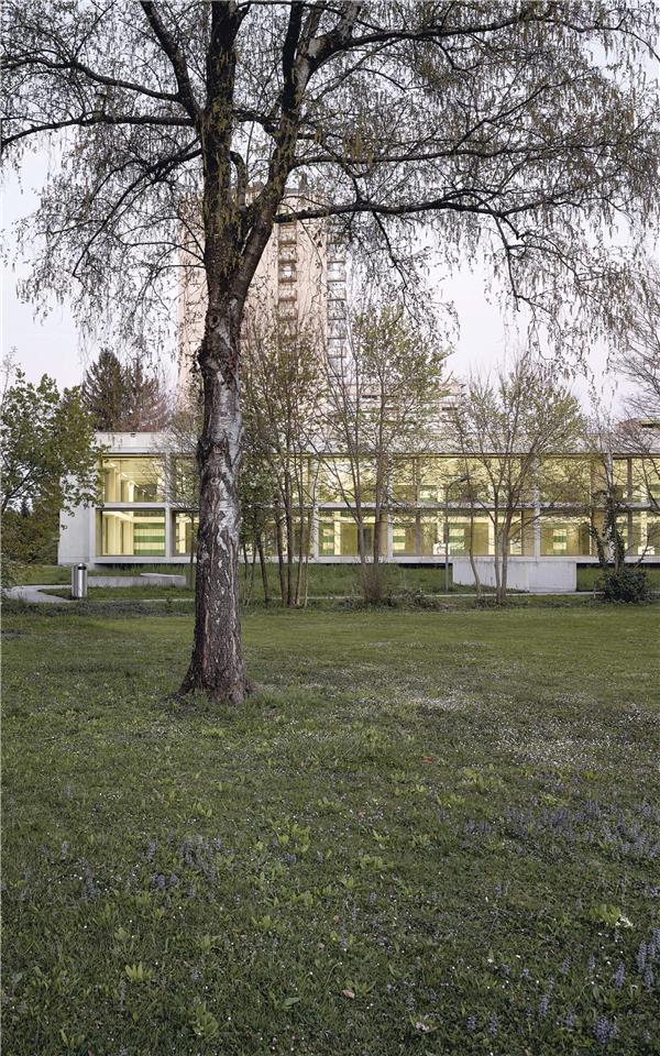 苏黎世Hirzenbach幼儿园与体育馆设计#(ArchetypeArchitecture)#(BIG)#(BjarkeIngelsGroup)#(CannonDesign)#(gmp)#(LoewerPartnerArchitekten)#(白色金属网)#(冰球竞技场)#(操场)#(大学操场)#(大学活动场地)#(丹麦建筑师)#(高校教学楼)#(建筑)#(教学楼案例)#(教学楼设计)#(金属外立面建筑设计)#(老海勒鲁普高中体育馆)#(设计)#(体育场)#(体育馆)#(文化建筑)#(校园)#(校园建筑)#(学校操场)#(游泳馆)#(运动馆)#(运动健身场馆)#(wulfarchitekten)#(棒球场)#(比亚克·英厄尔斯)#(大学)#(大学体育场)#(大学体育馆)#(高中体育馆)#(公共建筑)#(公共建筑设计)#(户外体育场)#(建筑规划)#(建筑设计)#(教学楼)#(教学楼设计案例)#(教育建筑设计)#(金属外墙建筑设计)#(景观)#(清水混凝土)#(体育)#(体育场馆)#(体育馆建筑设计)#(体育建筑)#(体育建筑设计)#(田径场)#(田径设施)#(跳水)#(校园建筑设计)#(校园体育馆设计)#(校园体育建筑)#(校园体育设施)#(学校)#(运动场)