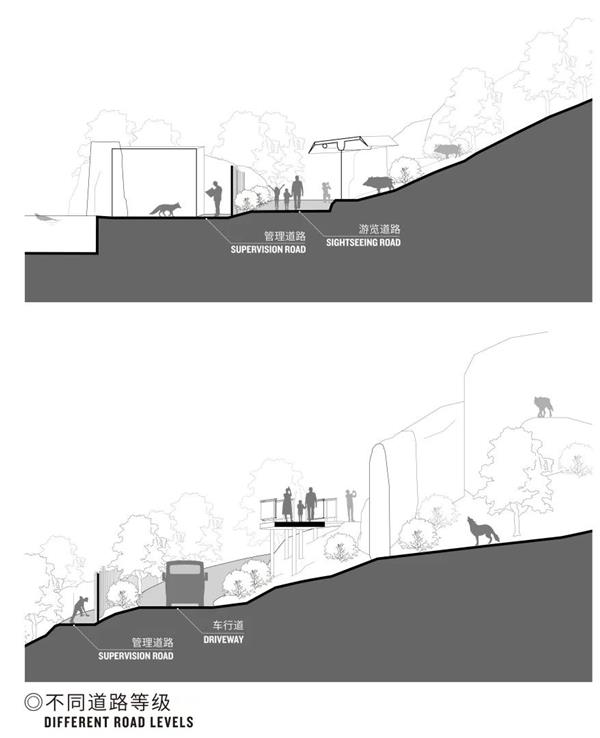 红山森林动物园本土物种展区、狼谷展区设计_3745824