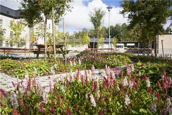 瑞典Karsudden医院植物园广场#适老化景观设计 #康养景观 #养老景观设计 